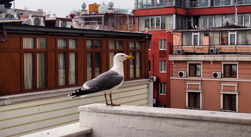 Flower Palace Hotel Istanbul Exterior photo